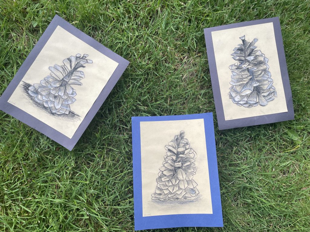7th Grade Art Portfolio